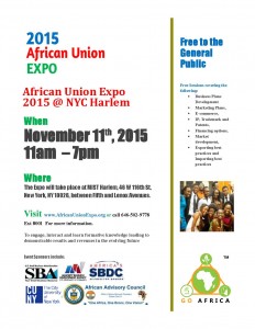 African Union Expo 2015 at Mist Harlem on 11/17/2015